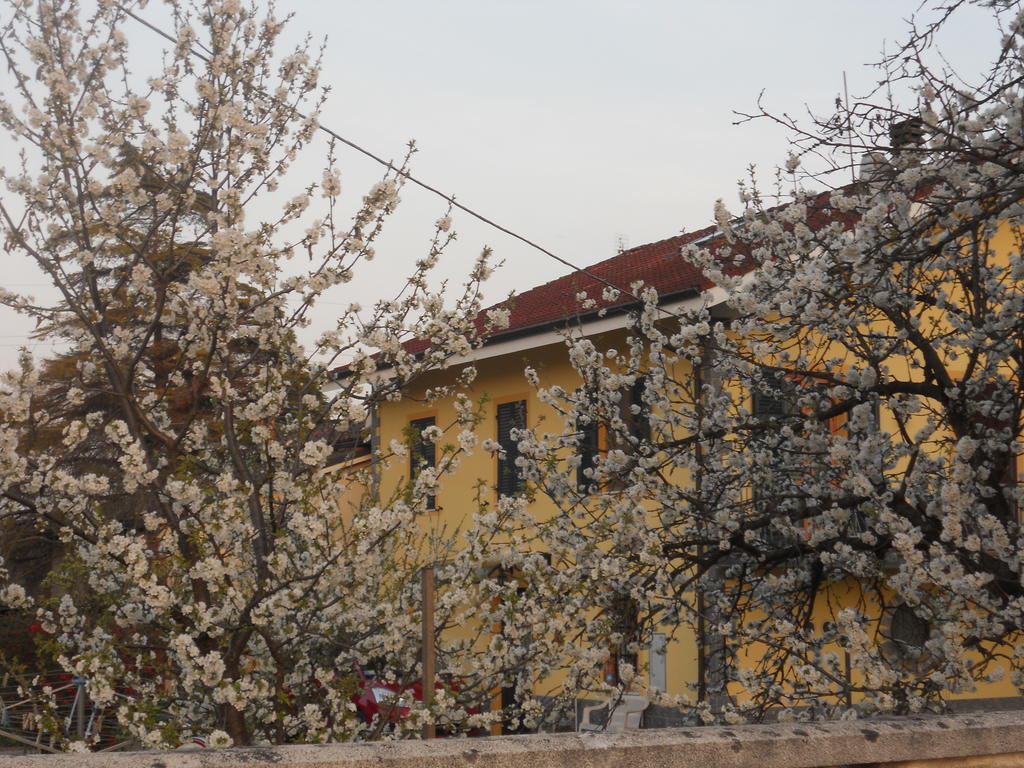 B&B Pervinca Rocca Grimalda Exteriér fotografie